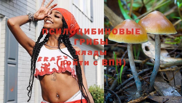 гидра Зерноград