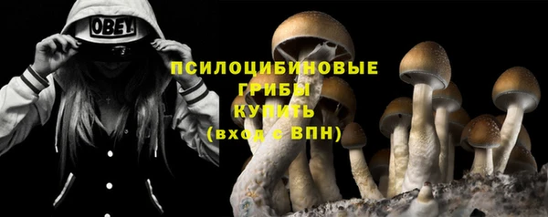 гидра Зерноград