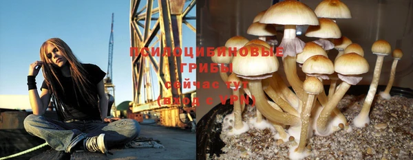 mdpv Зеленокумск